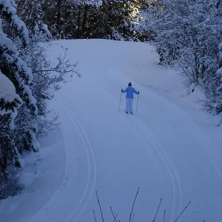 Les Preseloignes Chalet Pralognan-la-Vanoise