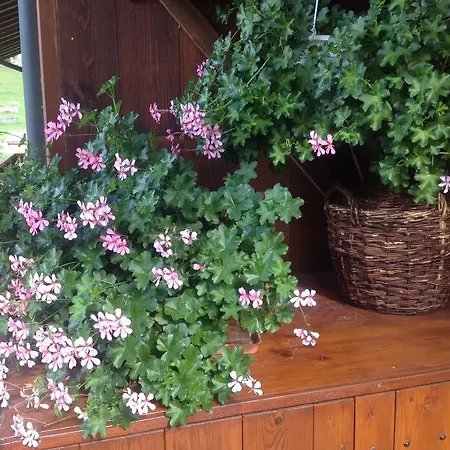 Chalet Les Preseloignes